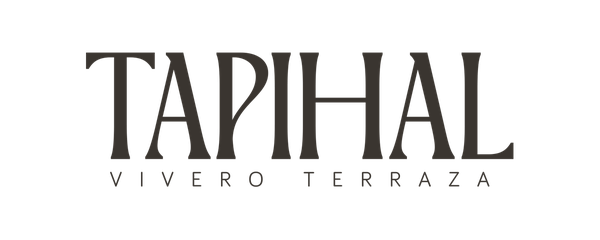 Tapihal