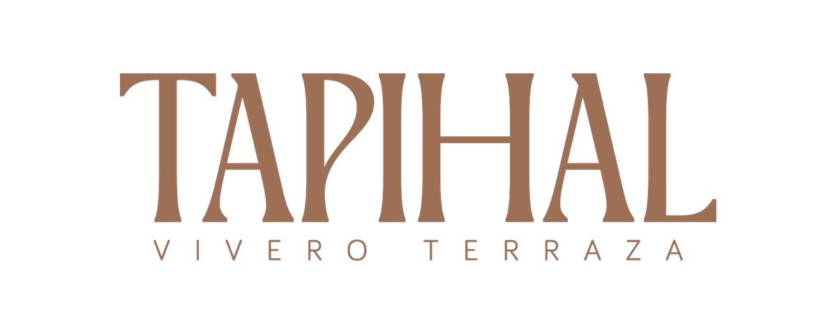 Tapihal